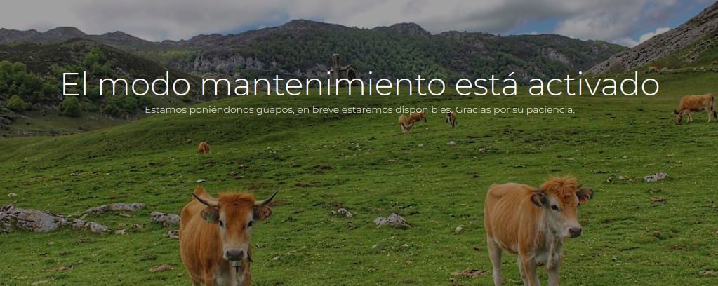 DSenderista's tweet photo. Estamos dándole una capa de pintura a la web 🎨

Perdonen las molestias. En unos días estará disponible. 🏕 https://t.co/TNtLgiLaM9