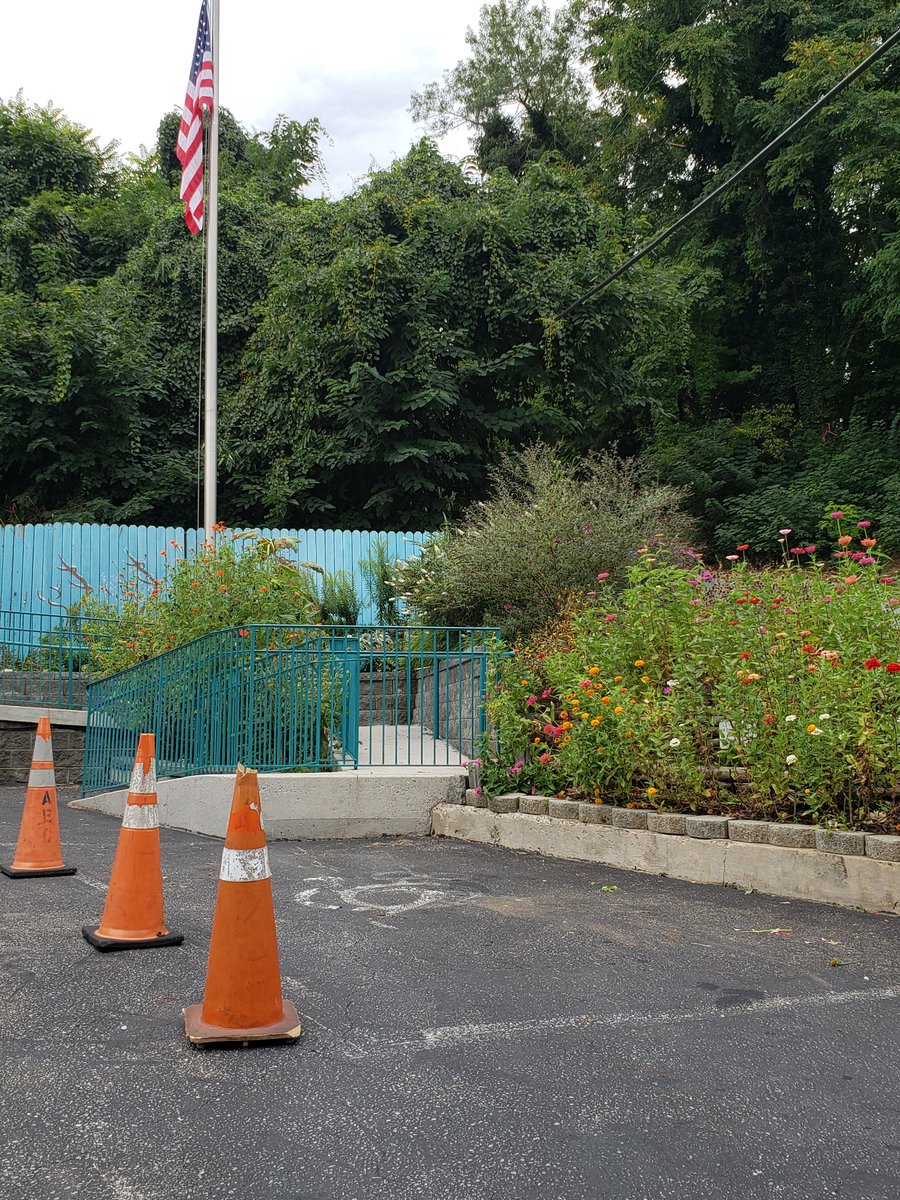 Flowers still going great at the Club! Thanks Master Gardeners!