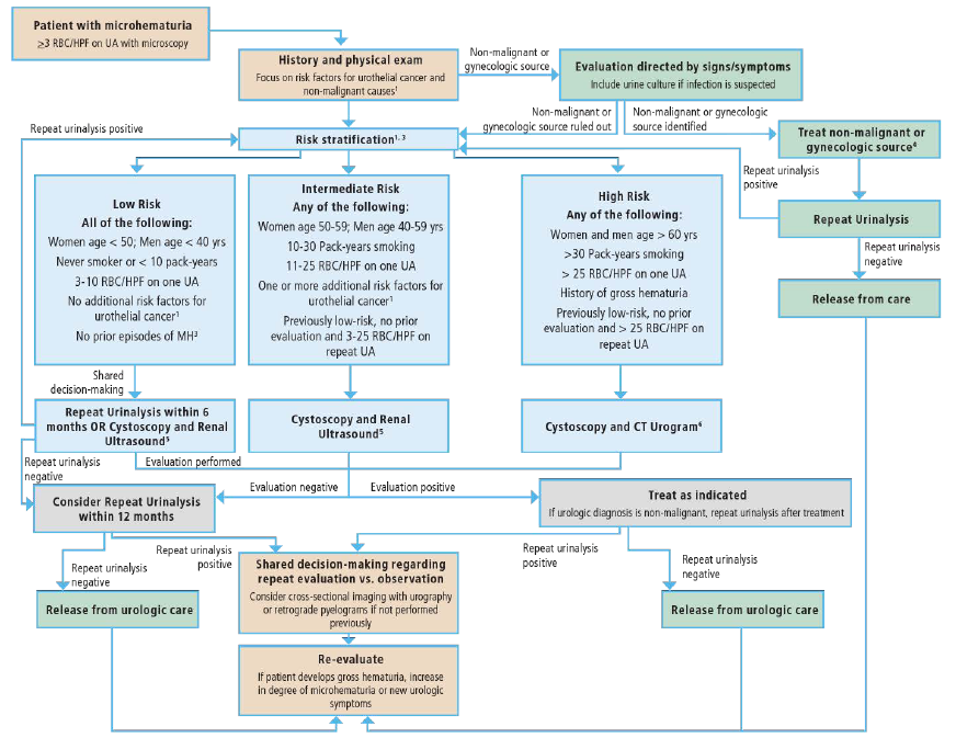 BirkenLab tweet media
