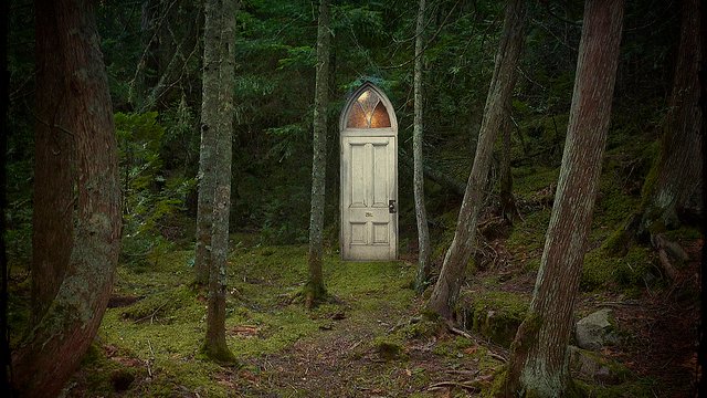enchanted forest