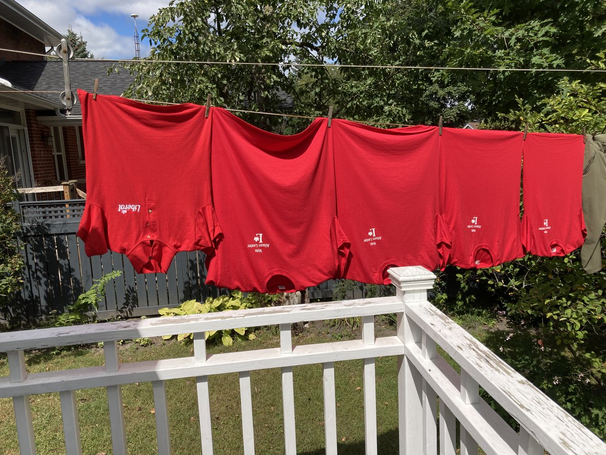 AlisonLester03's tweet photo. My laundry has been simplified lately!  #Elxn44 #cdnpoli #ForwardForEveryone @liberal_party https://t.co/O54jzntPtc