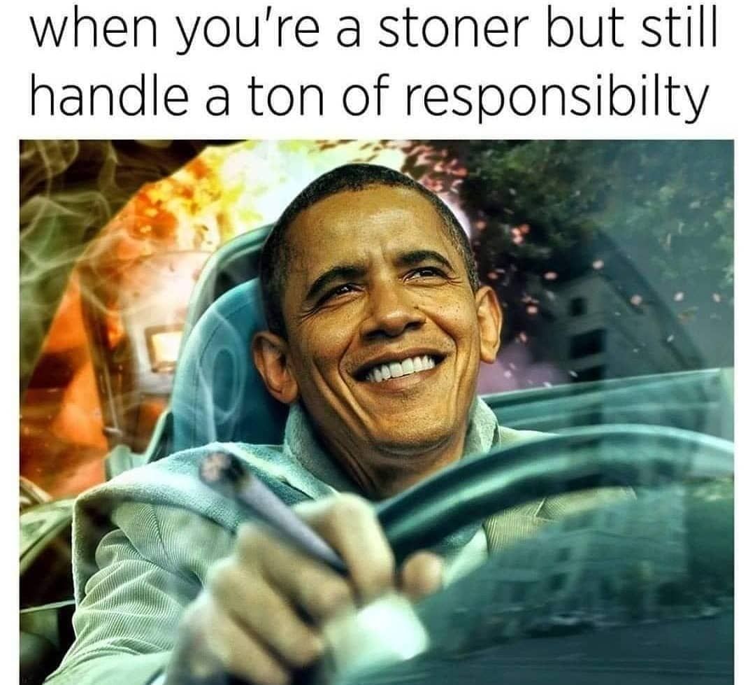 Shoutout to the Intelligent Stoners