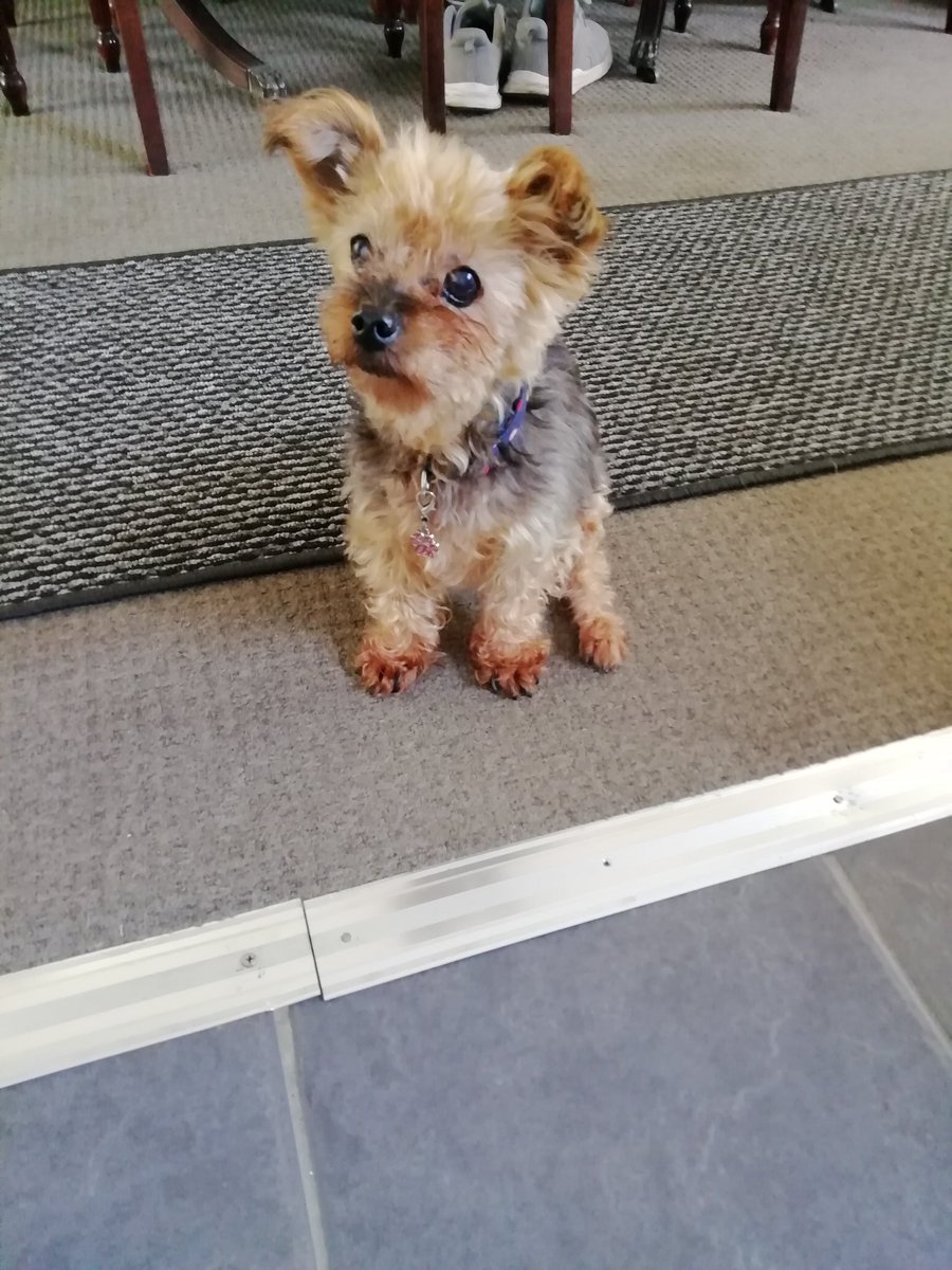 Lesley Mckeand tweet media