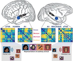 INT-Banco tweet media