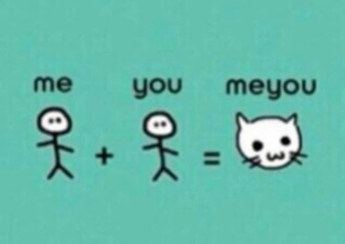 ___bassem's tweet image. 