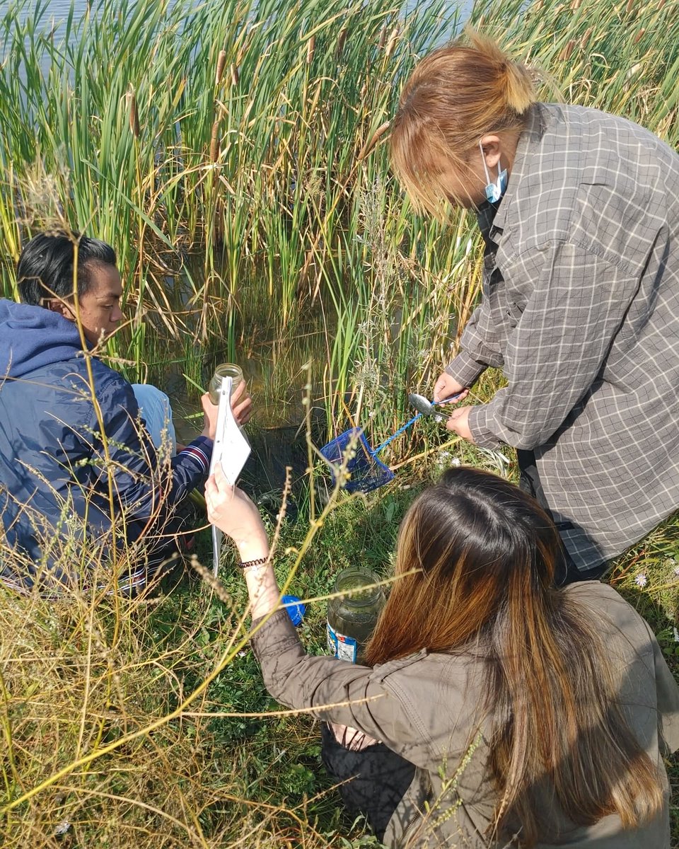 BethlehemStars's tweet photo. A great day for land based learning for Mr. Mills's Environmental Science to conduct their pond lab! Sun shine + nearby water= an 'immersive' learning experience!
#landbasedlearning #GSCSschools #pondlab #EnvironmentalScience @GSCSNews https://t.co/3yrzb6sKll