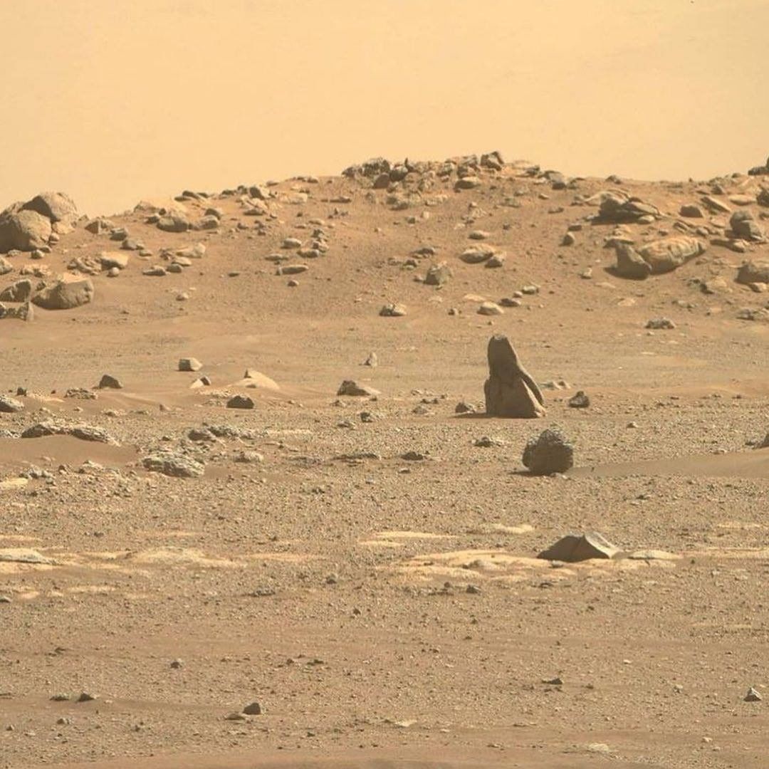 Chantal Berry (ChantalBerry8) Twitter