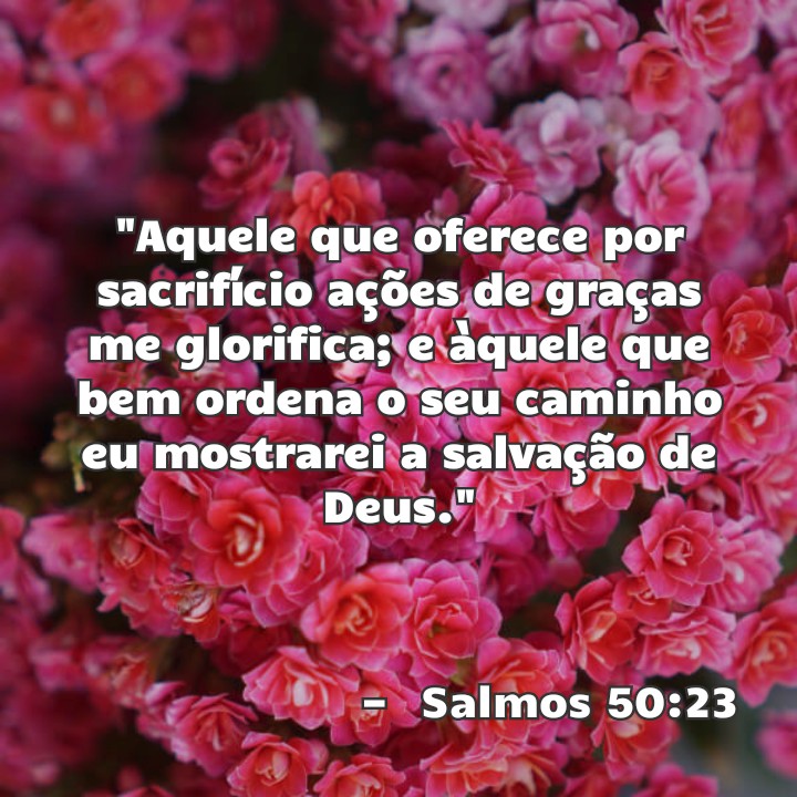 RapperAlisson's tweet image. #CaixinhaDePromessas