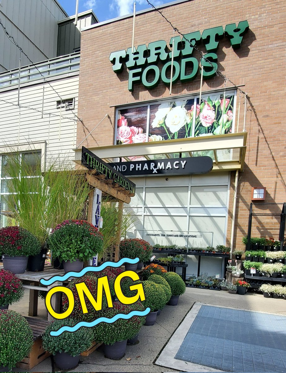 lionsbaycoffee's tweet photo. It's happening again...
Launching next week @ThriftyFoods #MorganCrossing #WhiteRock
We look forward to connecting with you over #Coffee!
👍🇨🇦☕💞
#welive4coffee https://t.co/kNSiAQ0LzL