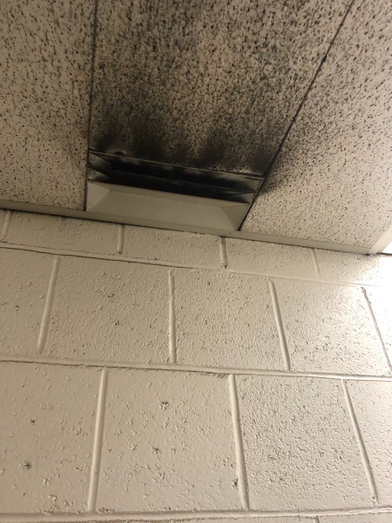 SydneyASnow's tweet photo. Photos taken today by the Hampden County Sheriff’s Department health and safety team inside the Hampden County Courthouse. These were taken as the courthouse reopened and employees ordered back to work after testing and cleaning deemed the building acceptable https://t.co/213iA8sKmd