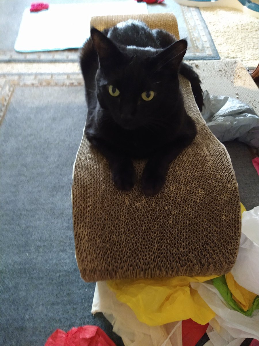 <a href="/GuinnessC/">Guinness Records IIFYM Chef</a> You too fellow panfur
