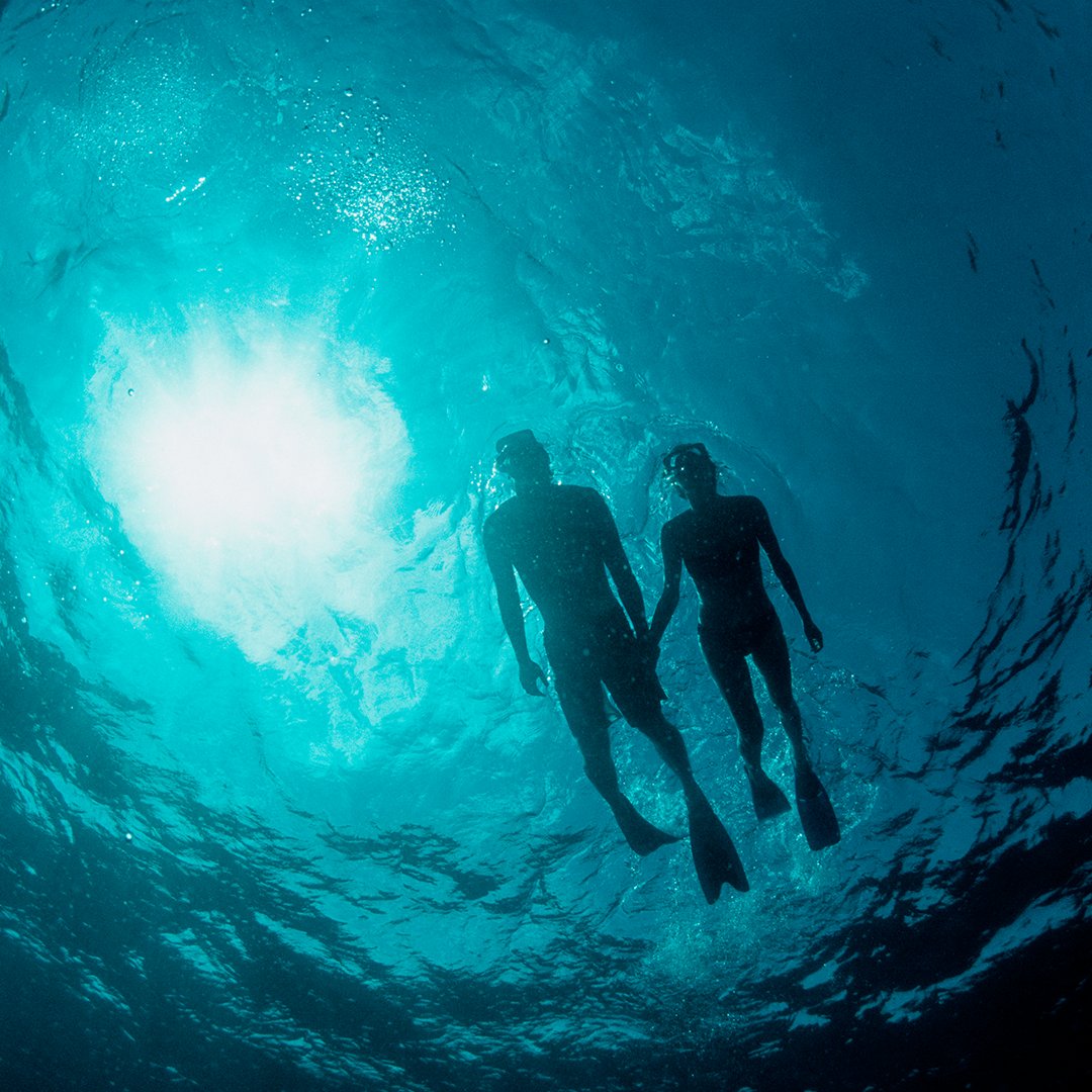 MarlinBayResort's tweet photo. Explore the crystal blue waters and discover the hidden beauty of Florida's coral reefs. #MarlinBay

#FloridaRelaxation #MarathonLiving #TheFloridaKeys #FloridaSnorkeling https://t.co/y3kKyVJnw2