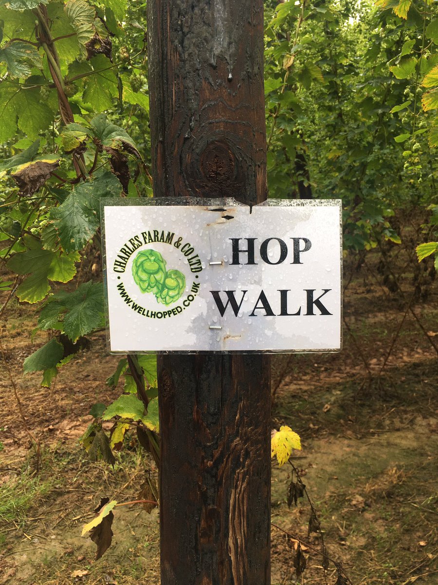 #hopwalk2021 Great Couple of days in Worcester and Herefordshire at #charlesfaram for the #hopwalk2021 shame about the rain! But found some Xciting new hops for our Xciting new brews..