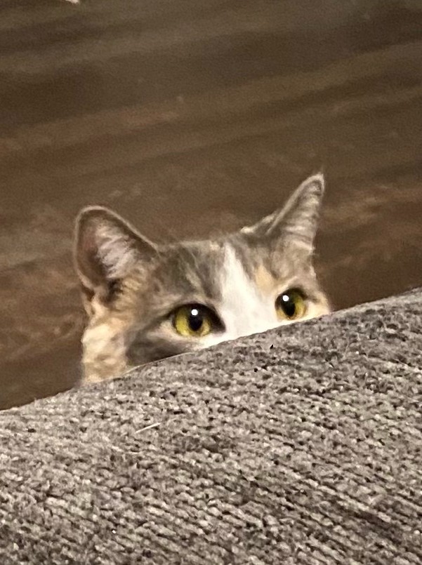 What do you think you're doing??