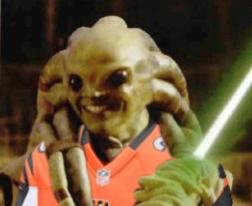 Kit Fisto Stan account tweet media