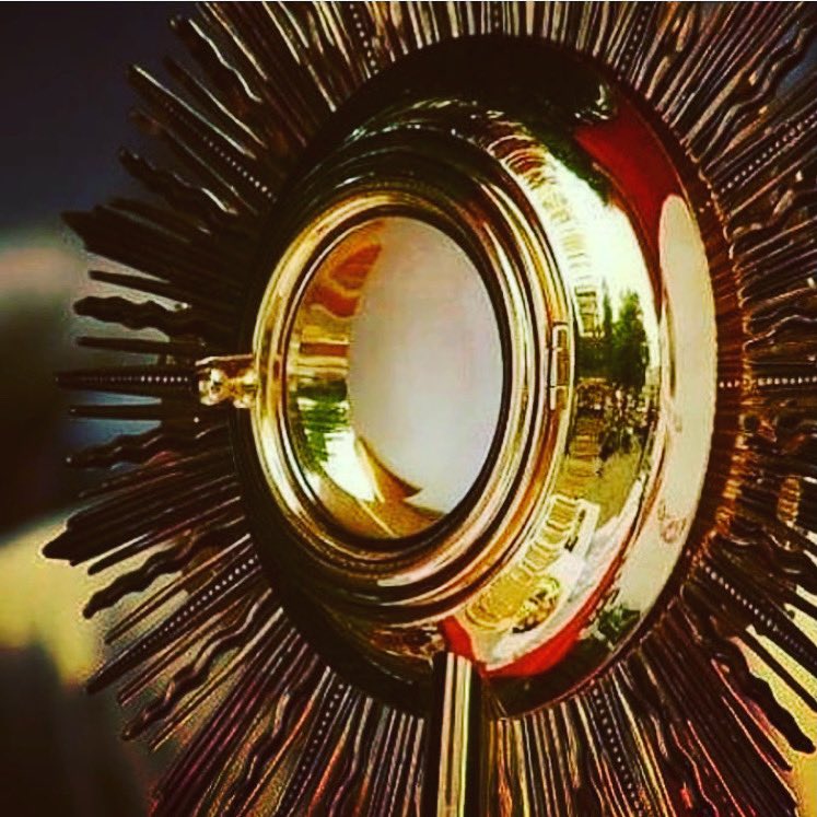 O my children, how beautiful will that soul be in eternity, who makes frequent and good Communions! -- St. Jean Marie Baptiste Vianney
#jesuschrist #catholic