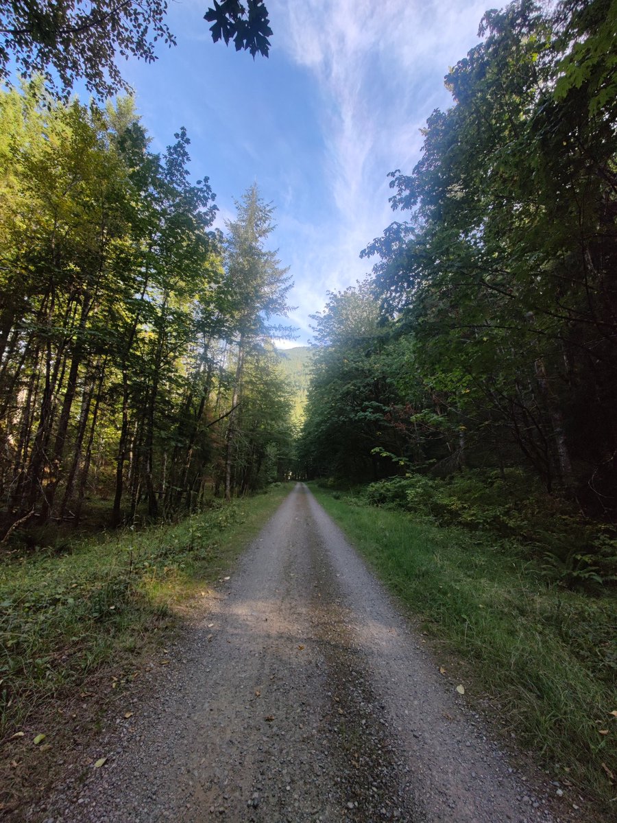 GoProFun's tweet photo. Keeping a #running leg in with a #ForestBathing #10M along #BigWA 's gravel driveway - the Palouse To Cascades Trail
This time Cedar Falls to above Ragnar, but not quite to Garcia. Next time!
Steady Eddy uphill out, #HIIT on way back
#BreakingImpossible
#hk4tuc https://t.co/SPEStAnUBu
