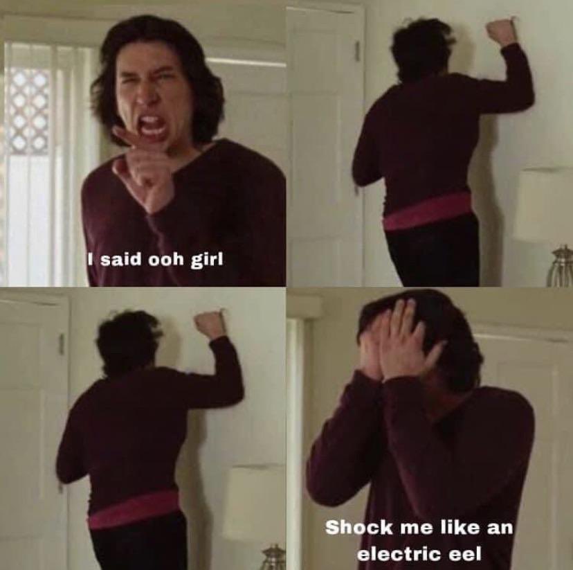 𝔥𝔞𝔶𝔩𝔰 tweet media