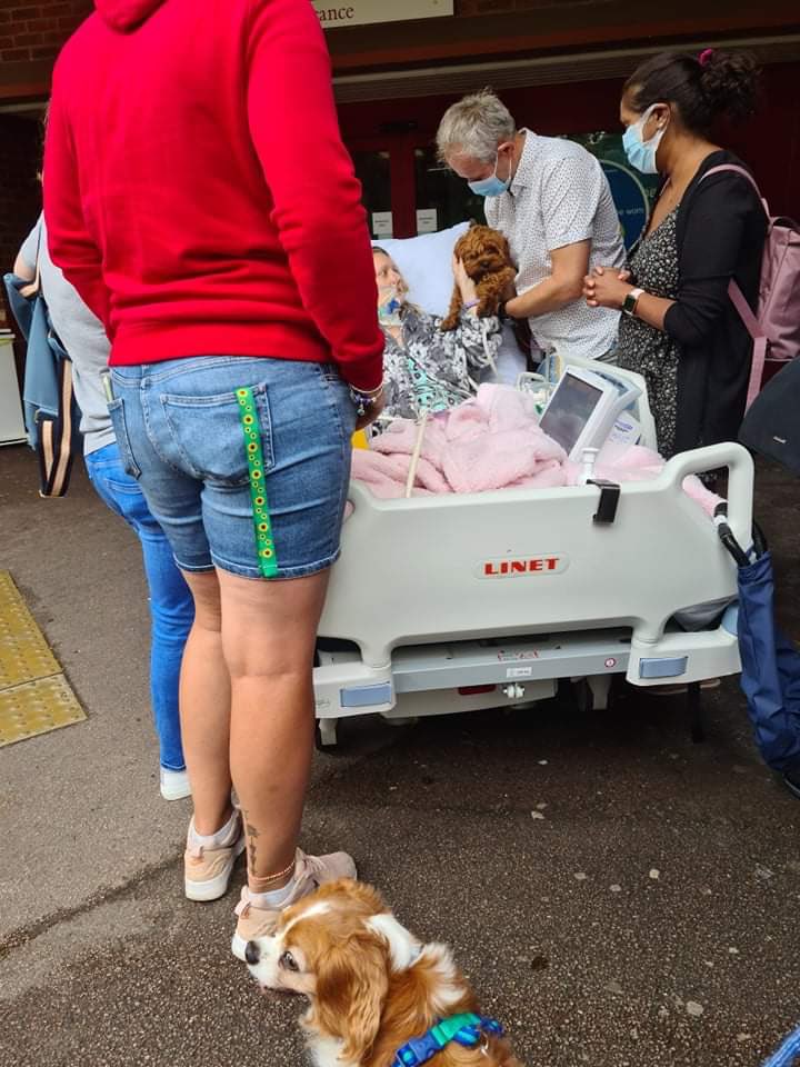 The little things mean so much. Today our wonderful Princess Royal team took a patient that has been with us for a while out to see her family and dog! Such joy for all involved. (Posted with permission from the patient)