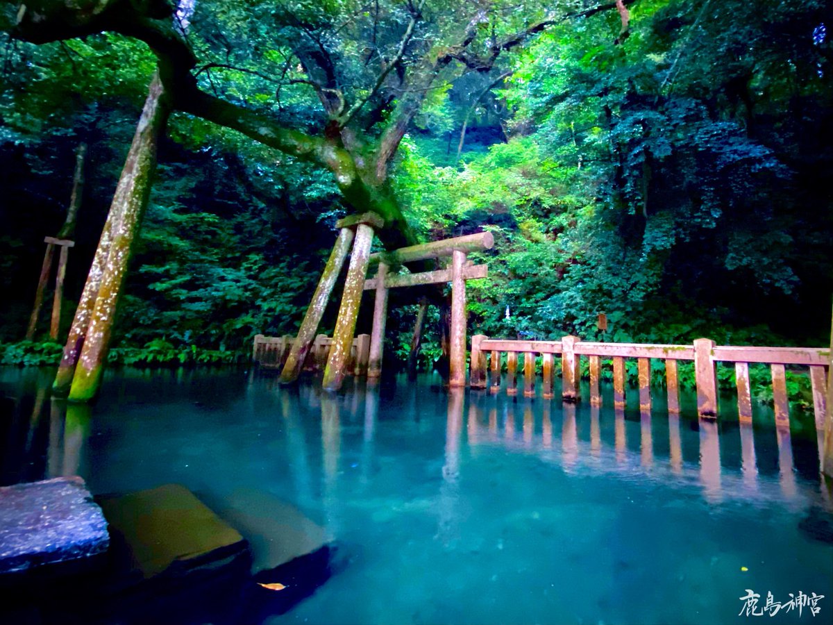 ট ইট র 風 鹿島神宮 Kashima Jingu 公式 Kashima Jingu 境内の御手洗池 です 本日は雨が降っておりますので普段より暗く感じます 古来は池の底まで透き通った清水に満たされたこの池で潔斎をした後に参拝をしました 鹿島神宮 武甕槌大神