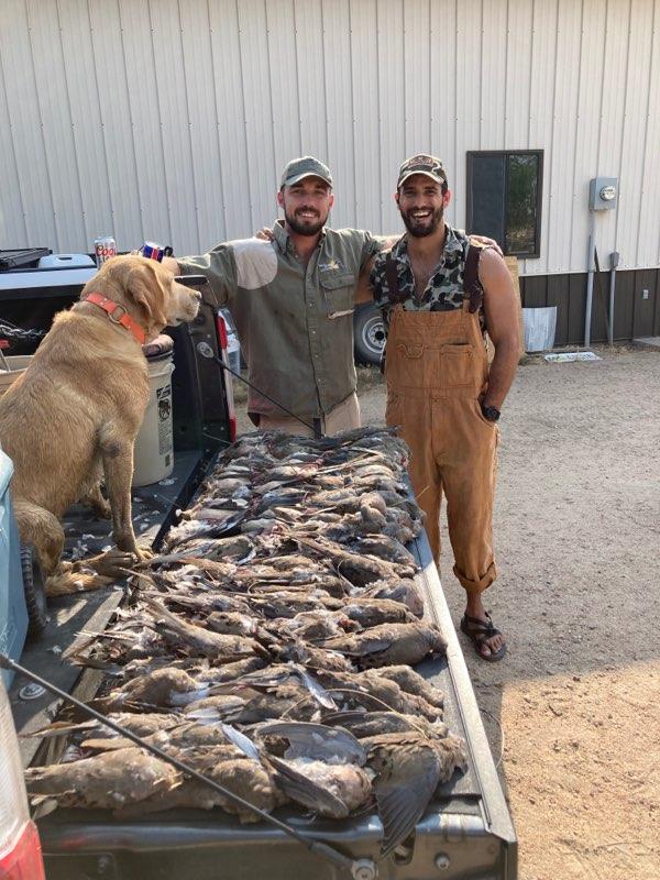 longmeadow_info's tweet photo. #Longmeadow #GameResort #DoveSeason2021 #DoveHunting #DoveSeason #OpeningDay #OpeningWeekend #DoveHunter #DoveHunters #Dove #Doves #LaborDay #LaborDay2021 #LongWeekend #Holiday #AutumnIsHere #Autumn #Fall #HuntingSeason https://t.co/Hj55SWhUTn