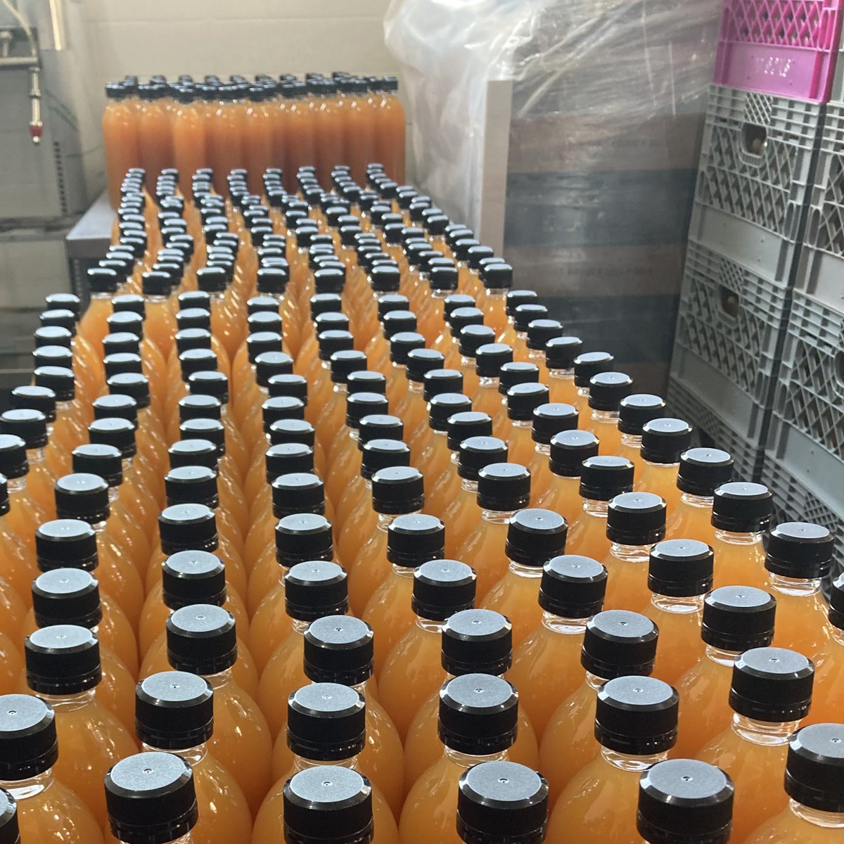 Number1Sons's tweet image. We did a lot of prepping for markets today! 🥒🧄🌶🍹