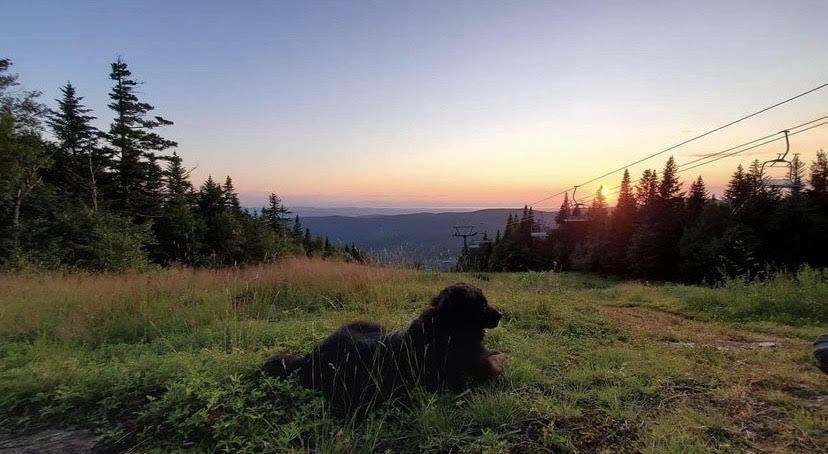 Skirack Vermont tweet media