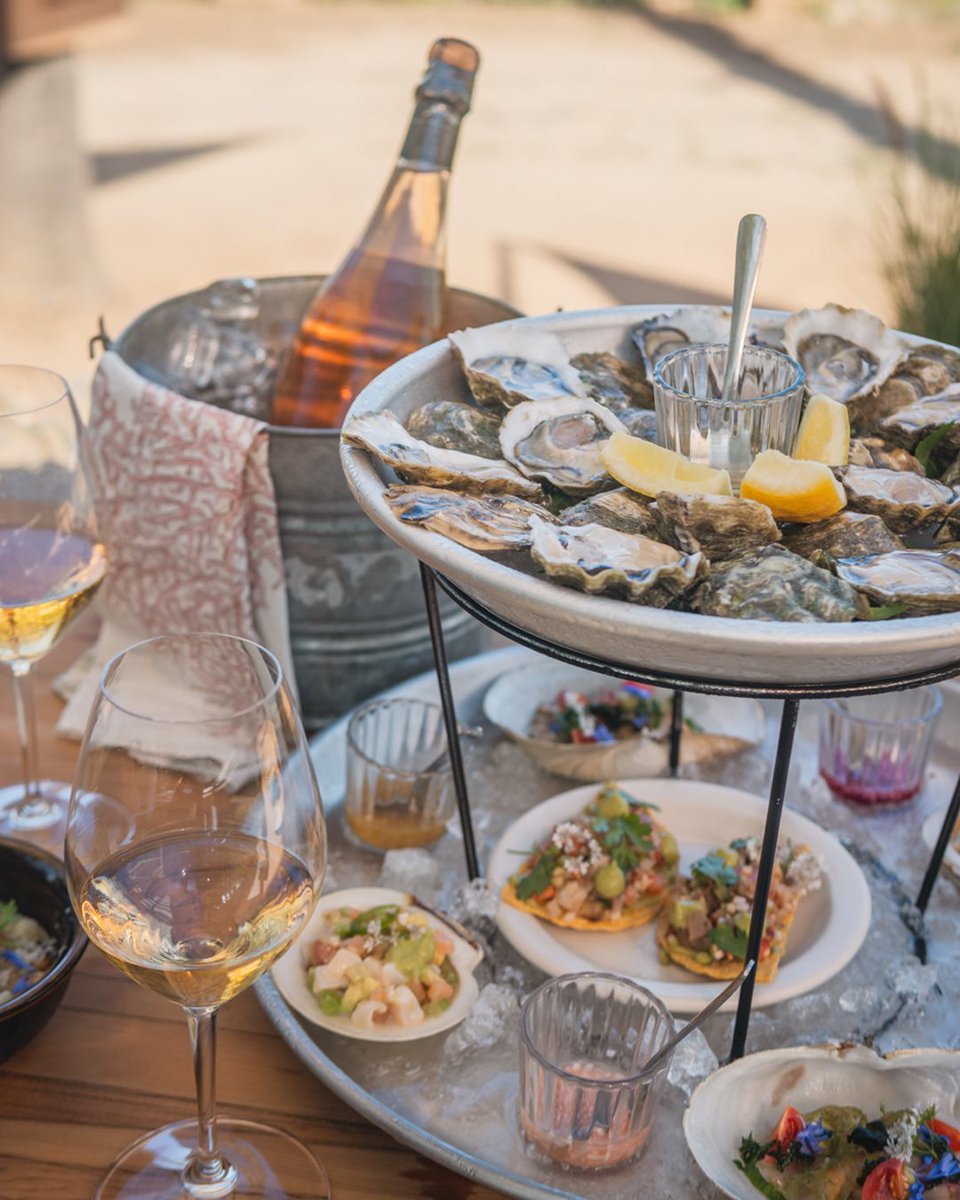 LaRuta_vcc's tweet photo. ¿Te gustan los moluscos y los espumosos? Visita @conchasdepiedra y conoce la barra de conchas y mariscos de Bajafishchef en Casa De Piedra. 🥂
📲 Reservaciones al (646)162.8306
#deckmans #valledeguadalupe #conchasdepiedra #vinomexicano #consumelocal #BajaCalifornia https://t.co/oGA694BVnL