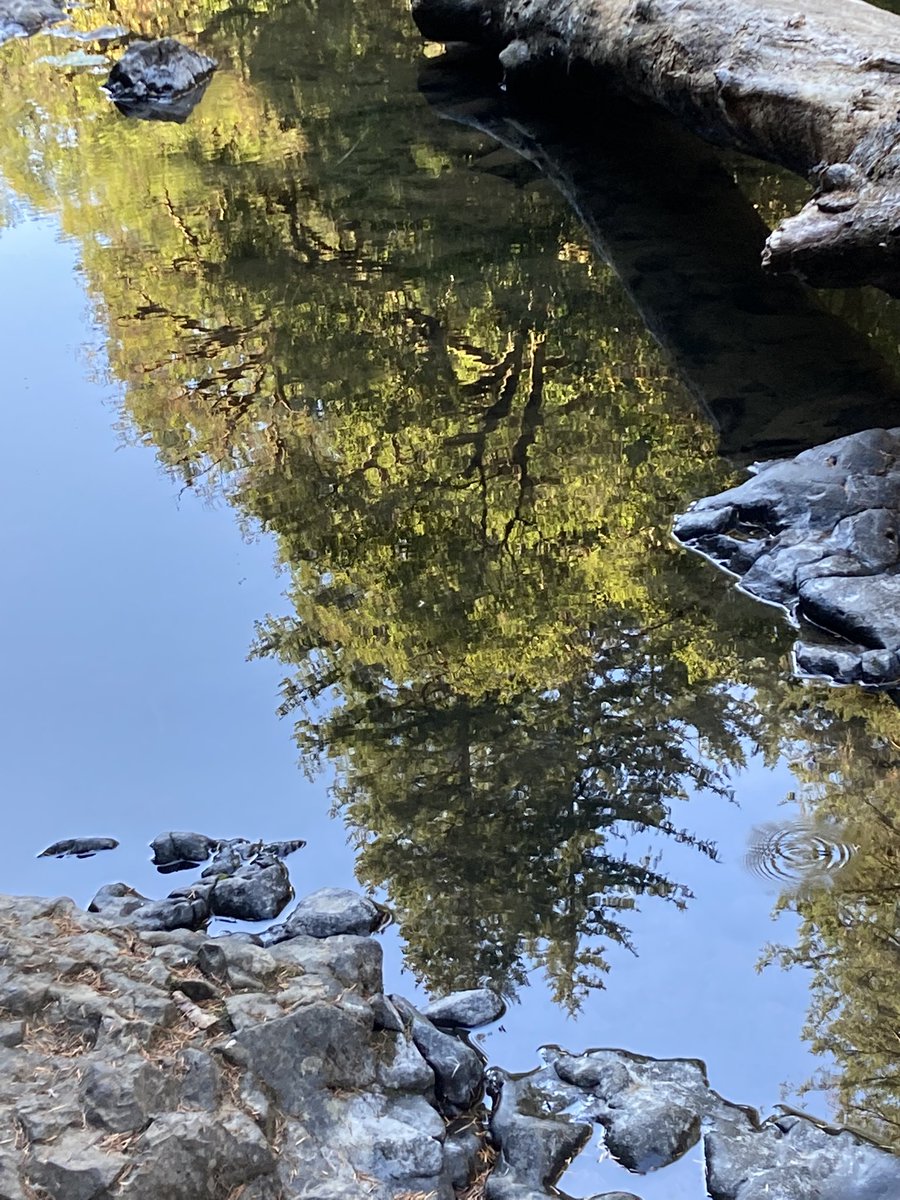 Properly_Aaron's tweet image. Here’s some pictures from my recent trip to Portland. #photography