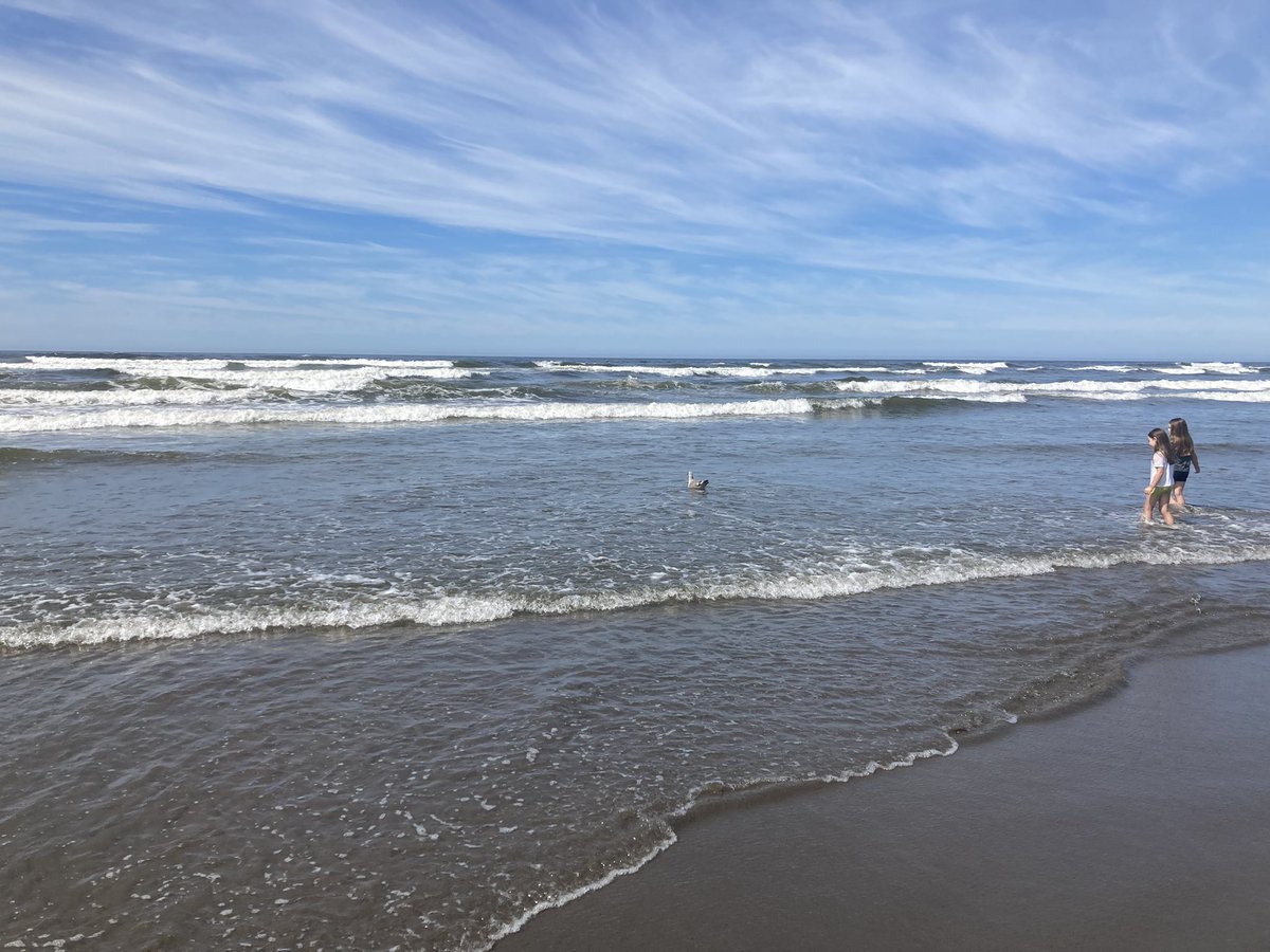 Properly_Aaron's tweet image. Here’s some pictures from my recent trip to Portland. #photography