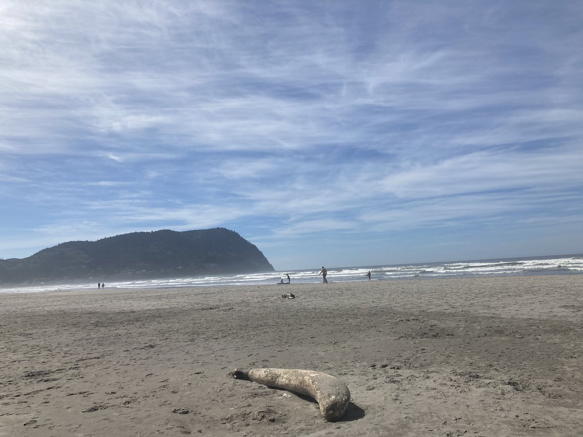 Properly_Aaron's tweet image. Here’s some pictures from my recent trip to Portland. #photography