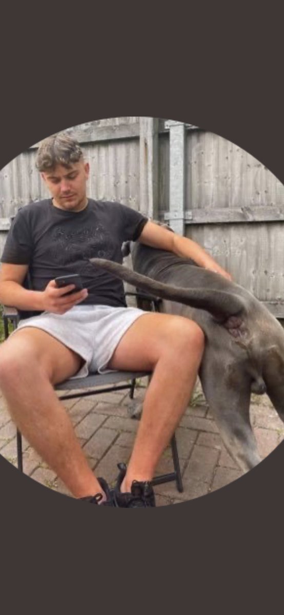 MorganAndrews_7's tweet photo. @danevans_tm That’s a new one your dogs arse hole looks better than you https://t.co/Py2Huconep