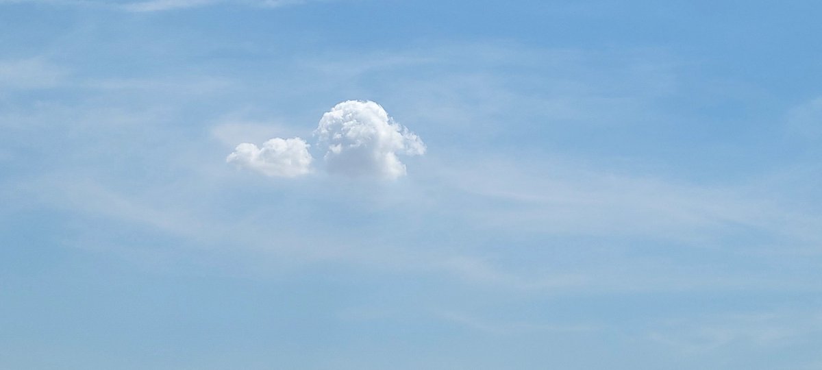 lmariepersaud's tweet photo. Happy Little Clouds... π
#BobRoss #SteveRoss #SupportSteveRoss ππ½ https://t.co/whSvucJg53