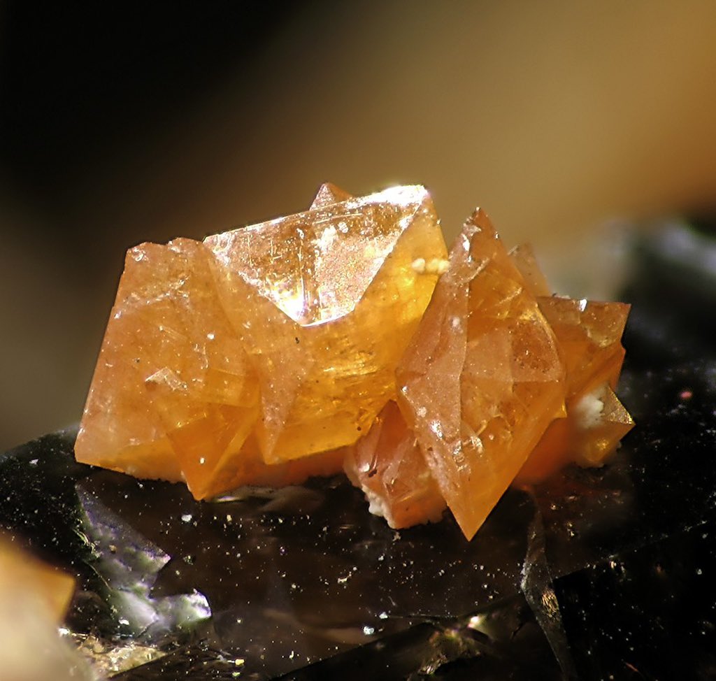 inspector0711's tweet image. #Xenotime. Where to begin? From its great name, interesting etymology (originally ‘vain honor’, a jab at another scientist who thought he found a new element in the mineral), the fact that it contains heavy REE, or perhaps its beautiful golden tetragonal crystals?