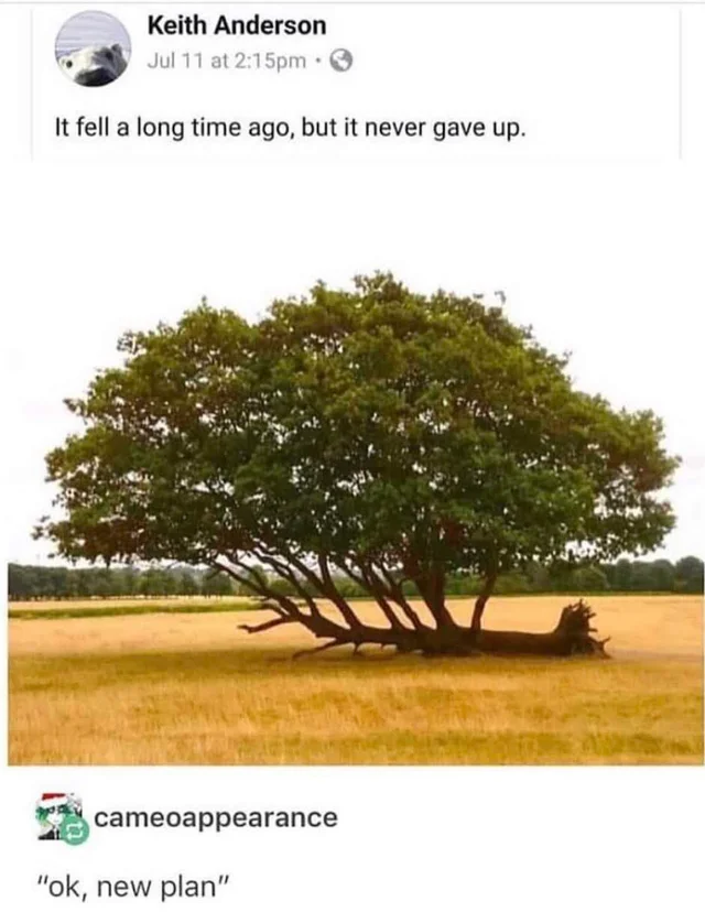 WholesomeMeme's tweet photo. https://t.co/wPuEjud25l
