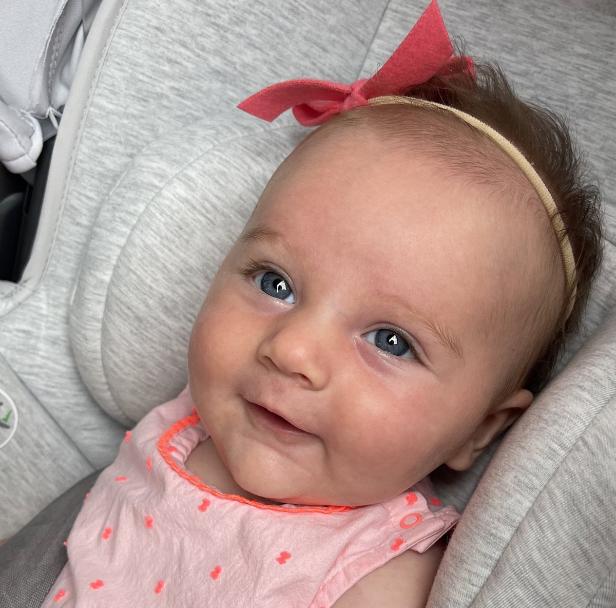 CaitABaker's tweet photo. My Vivi girl 💞 https://t.co/O3qo6NzMGX