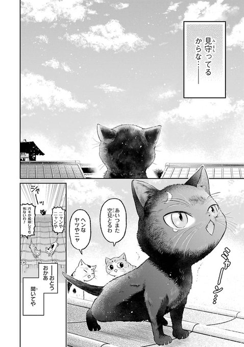 篠原知宏さん の人気ツイート 1 Whotwi グラフィカルtwitter分析