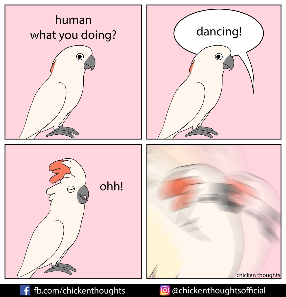 bonus 