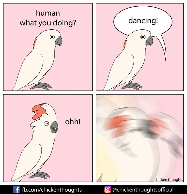 bonus 