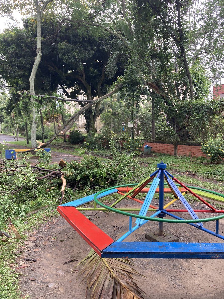 JACElRefugio's tweet photo. Solicitamos a @DagmaOficial el corte URGENTE de una rama caída que representa un peligro para los niños/as y visitantes del parque en la Calle 3D con Cra.64 Barrio El Refugio https://t.co/WiwTXmnIGp