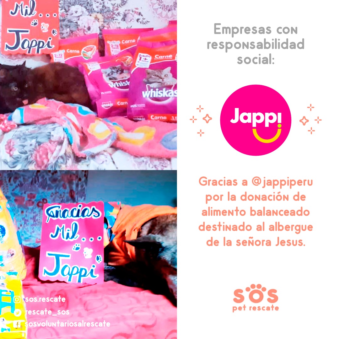 incondic_peru's tweet photo. #AYUDAMOS🐶💕🐈
Estamos muy felices por él regalo que nos envió #Jappi para los rescatados de la señora Jesús, ahora sus animalitos tendrán comida por un mes.
Mil gracias #Jappi por siempre pensar en nosotros y por la confianza💪💕🐈🐶
#Empresa
#ResponsabilidadSocial https://t.co/iJS6M9Mc5N
