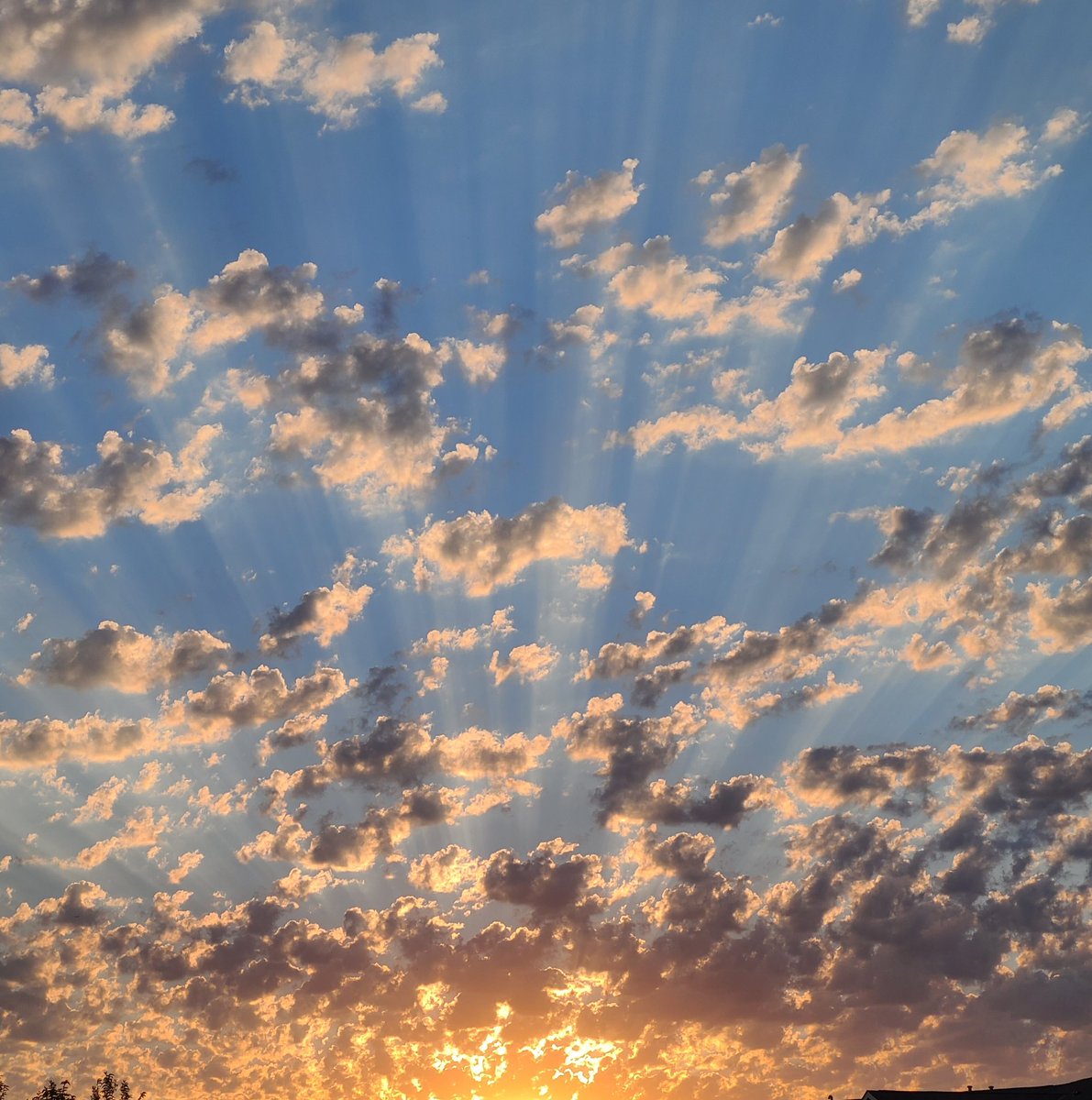 paperized's tweet image. The sky today 🥺