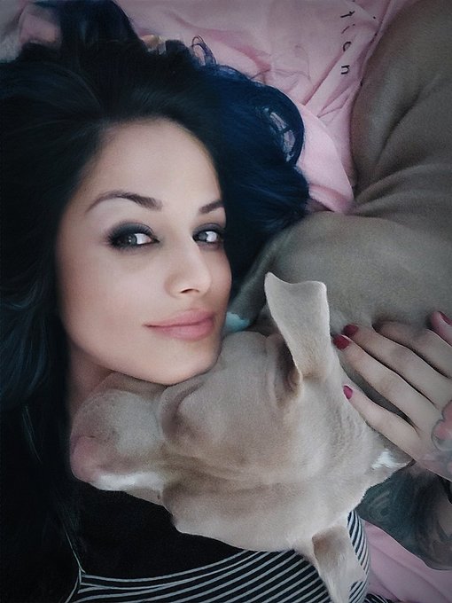 Buenas noches loves https://t.co/cZRvNdHZIM<a href="/tag/lasortega"class="tags"><span>#lasortega</span></a>
