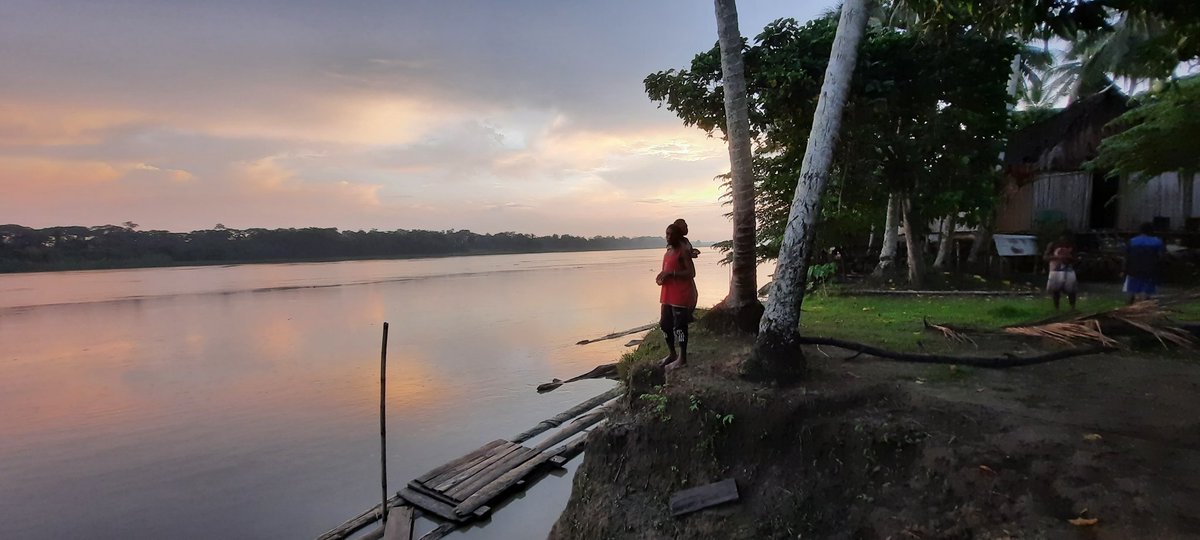 SaveTheSepik's tweet photo. “It is our identity, our life, and the heartbeat of our culture. A life without the Sepik River as we know it would devastate our communities forever" - Emmanuel Peni, Project Sepik
https://t.co/X2Ti8CE0Ys https://t.co/9Ay3q0tWuS