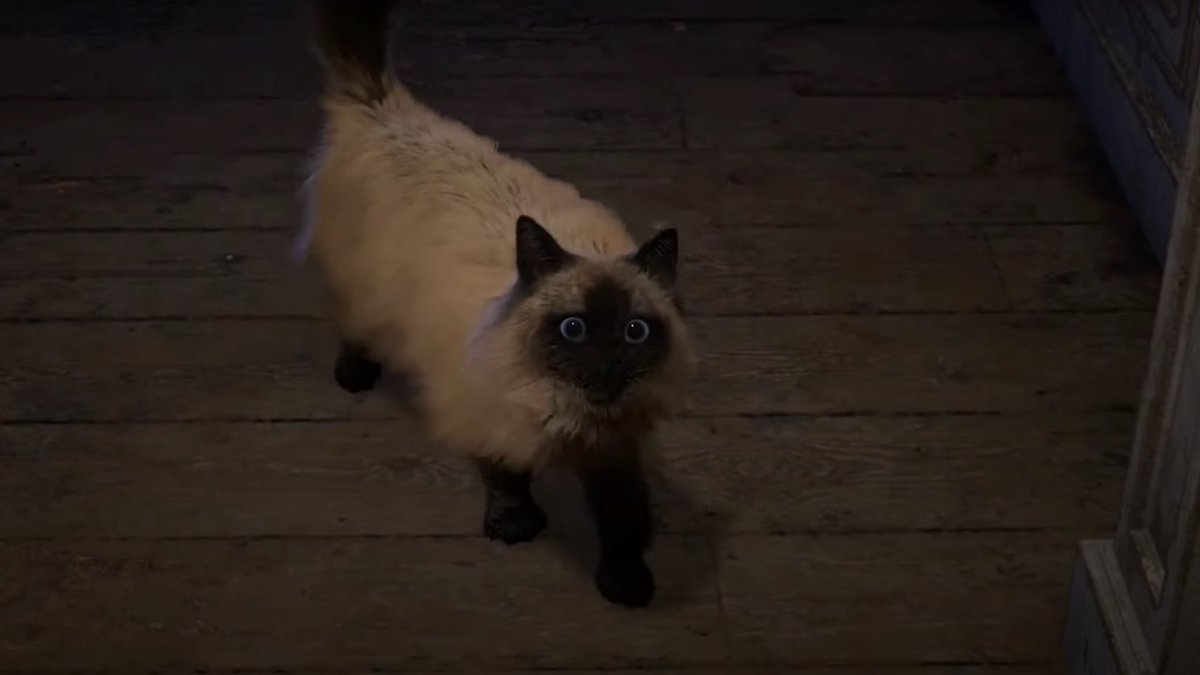 garfep's tweet photo. still thinking about this cat from the forspoken trailer https://t.co/OvJx3c9r09