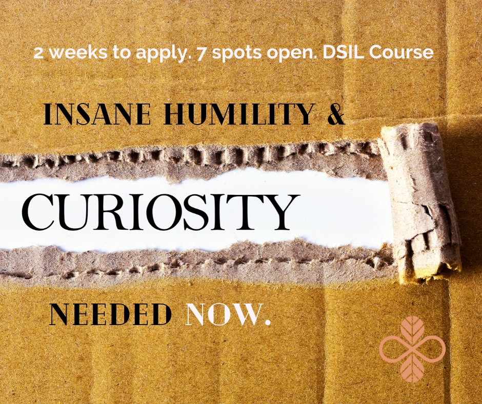 DSIL Global tweet media