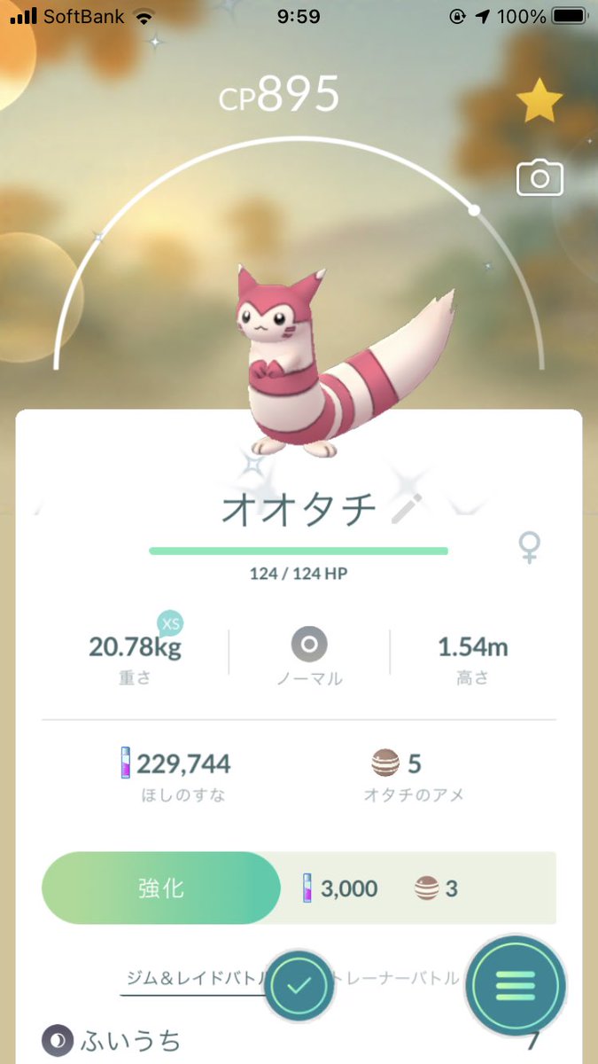 ポケモンgo オオタチの色違い 入手方法と実装状況 攻略大百科 ポケモンgo オオタチの色違い 入手方法と実装状況 攻略大百科