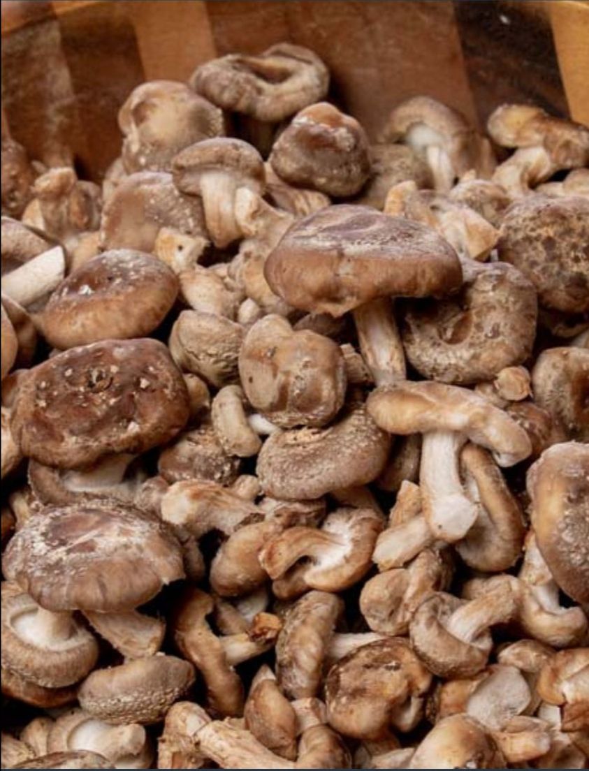 Gorgeous, Fresh Shiitake Available this Weekend - mailchi.mp/97f47223a4a1/s…