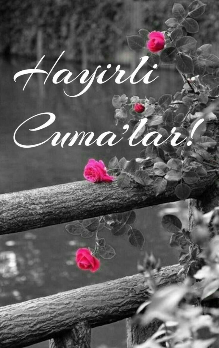 @PUSAT2023 @Misafir2023 @Ruh_Hastasi42 @istanbulkedisi2 @FCANER2023 @verapist @__nisan___ @NLGNMANAV1 @AKSEVDA_M Emeğine sağlık hemşerim Allah razı olsun hayırlı sabahlar hayırlı cumalar olsun 🙋🏻‍♀️