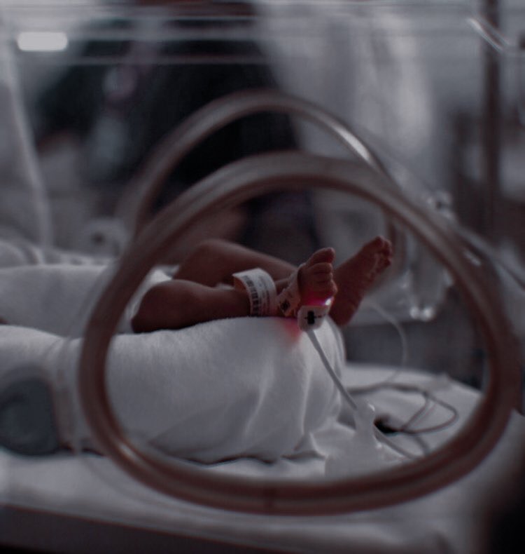 idontmindcw's tweet image. Meu pequeno, você é forte, vai sair daí logo logo e vai voltar pros nossos braços pra irmos embora pro seu verdadeiro lar com seus dois irmãozinhos de quatro patas. Papai promete, com todo coração, que você vai sair dessa. Te amo com toda minha vida, Huxley 💙